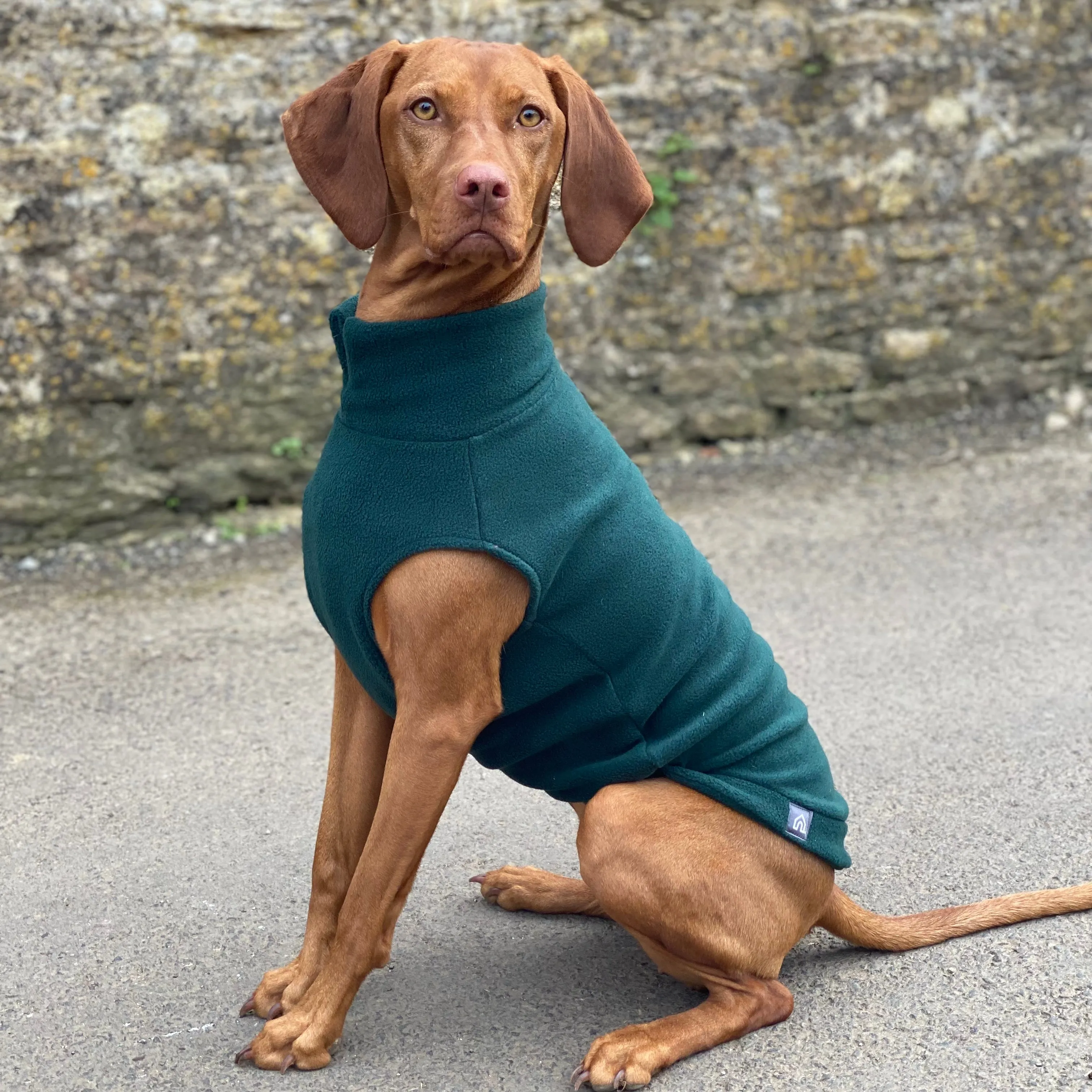 Large Breed Dog Fleece Jumper